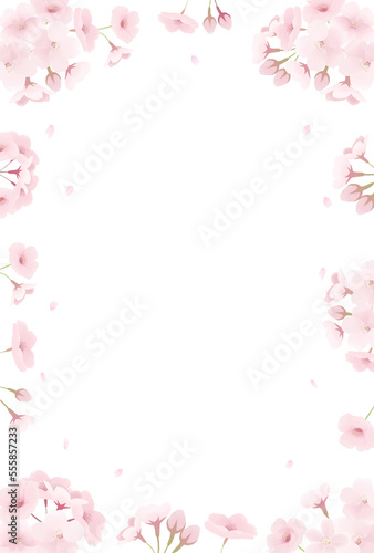 満開の桜の水彩イラスト　結婚式の招待状　透過