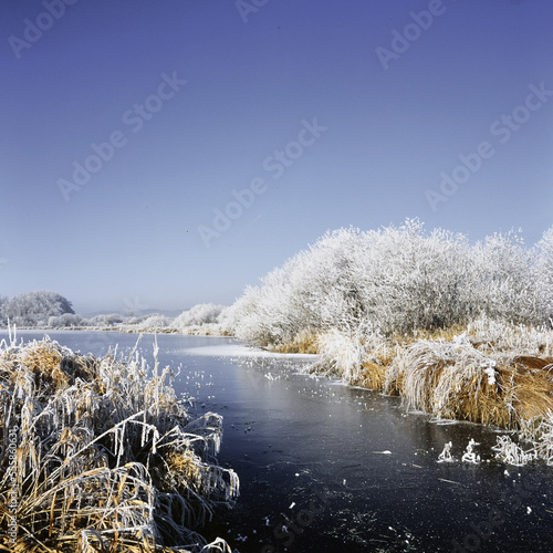 Dreifelder Weiher im Winter