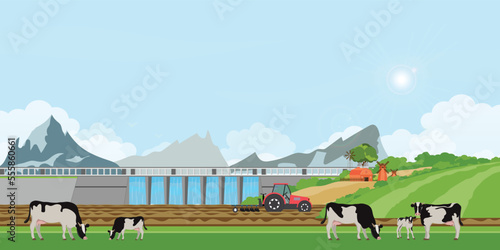 Landscape of Farmer driving a tractor in farm land on rural farm, holstein cow and calves in a field, agricultural workers farming , vector illustration.