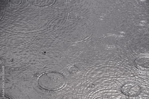 Rain drops on water surface, gray day. 
