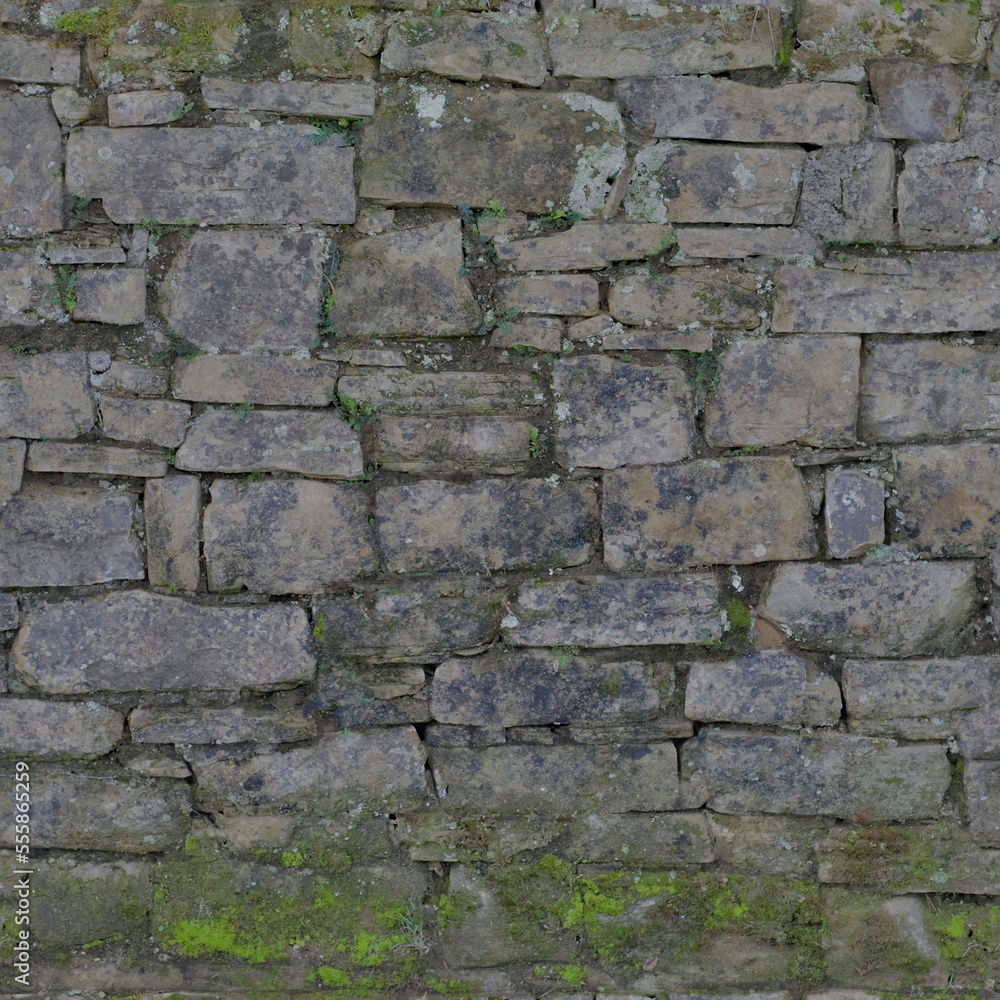 Fototapeta premium Game Environment Texture