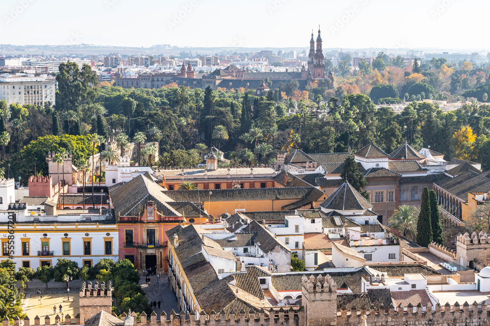 View from Giralda Tower in Seville, Spain