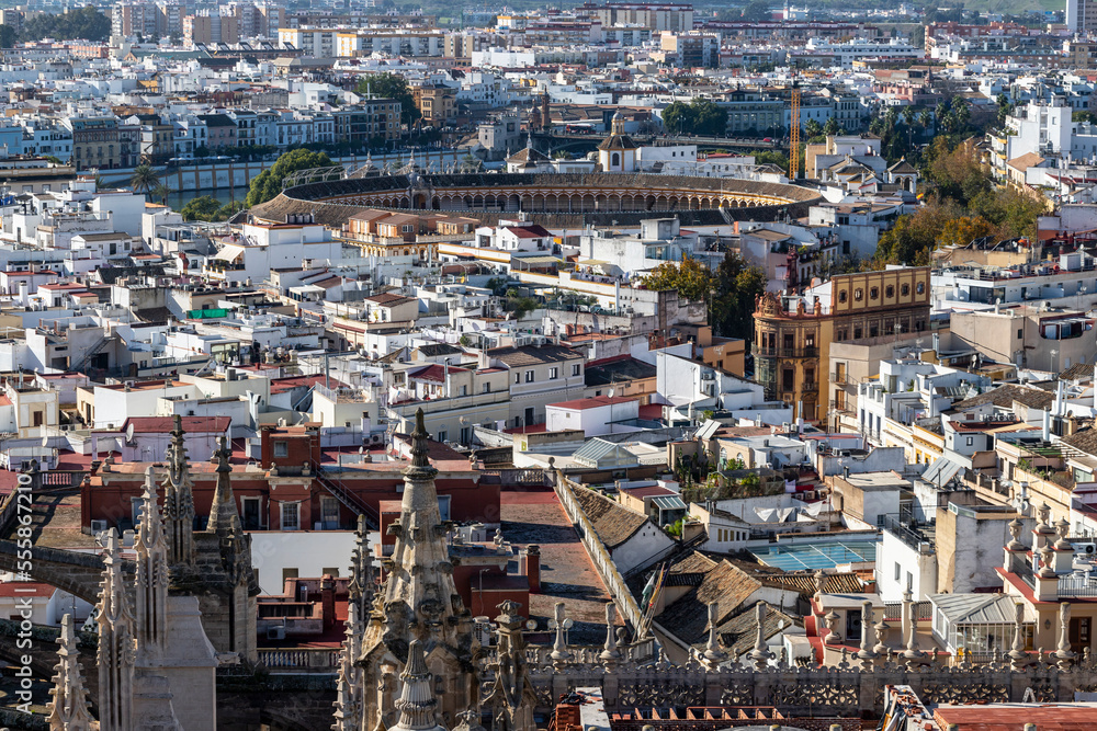 View from Giralda Tower in Seville, Spain