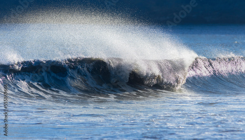 rolling wave  sea  detail