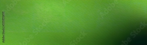 Abstract Green color background with some waves for design, Dark green color abstract background.