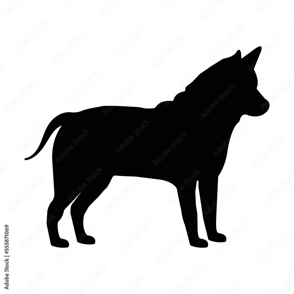 dog vector illustration design art