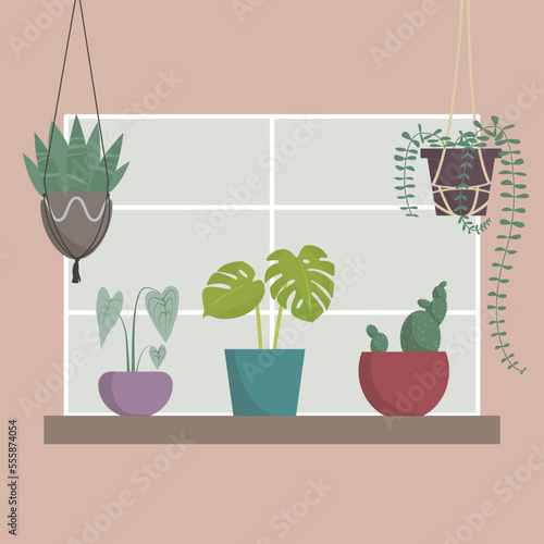 Vector flat window, sill, pots of flowers, home comfort, vector illustration in flat style, plants