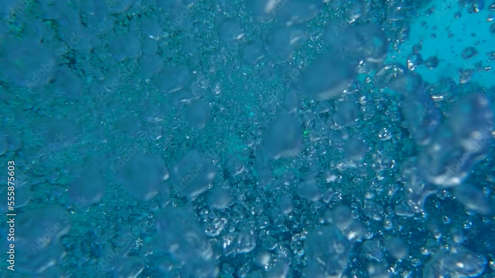A wall of bubbles next to a tropical coral reef A wall of bubbles next to a tropical coral reef