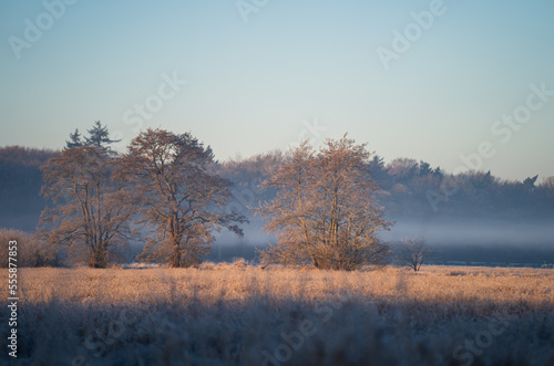 Fog over the countryside during a cold, winters morning.