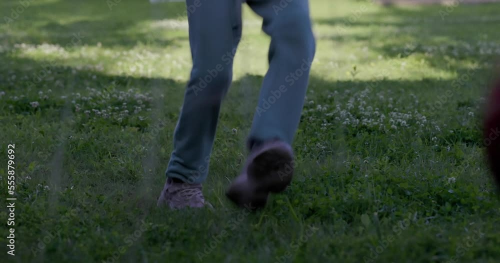 Little girl kicking the ball in soccer goal in backyard. Children play with a ball for football. Girl kicks the ball into the goal. Happy child kicks a ball on a green lawn. Little girl kicking the ball in soccer goal in backyard. Children play with a ball for football. Girl kicks the ball into the goal. Happy child kicks a ball on a green lawn.