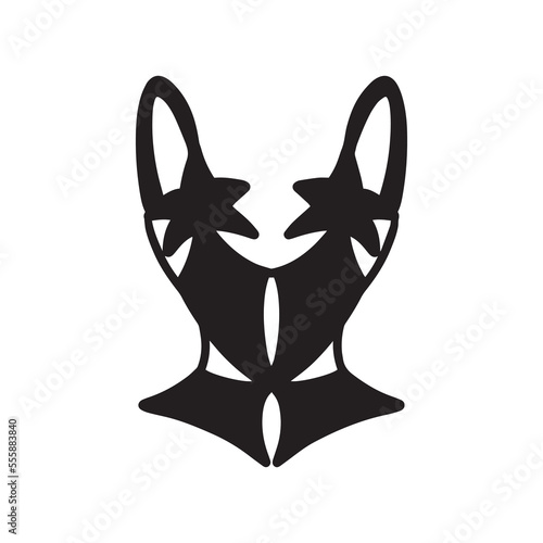 Black and white image of corset 