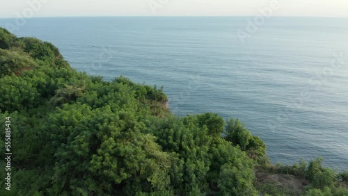 Drone flying over cliff covered in green forest, revealing tall, steep coastline, dark blue water and rocky beach. Waves crashing into rocks. Daylight. Camera forward movement. 4k footage. photo