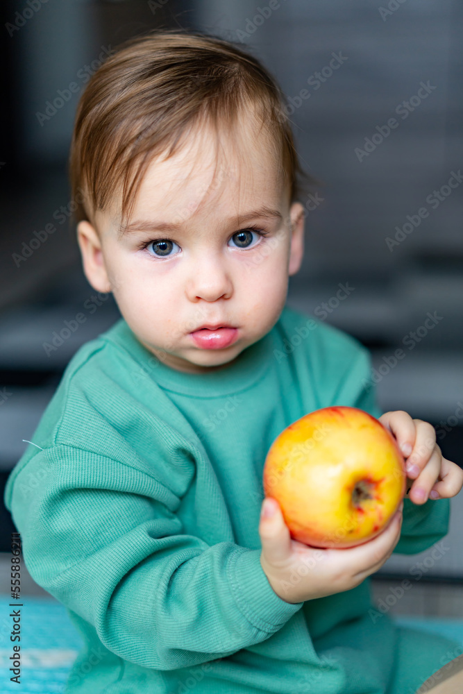Funny baby boy eating healthy food. Portrait of a happy little boy with red apples. Funny baby boy eating healthy food. Portrait of a happy little boy with red apples.