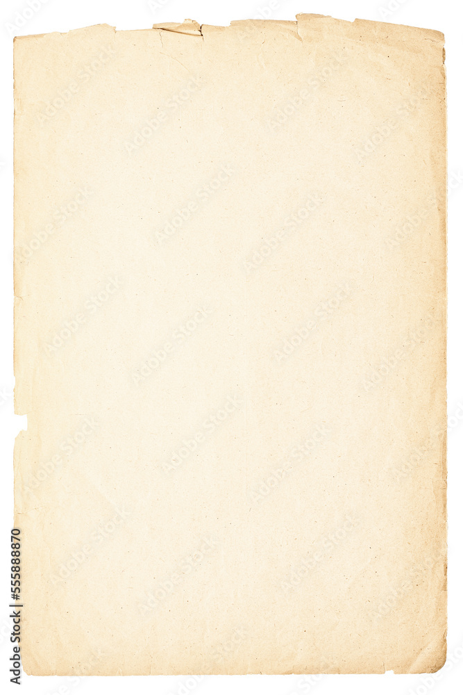 light paper sheet isolated on white background. beige texture of ancient papyrus with frayed edges light paper sheet isolated on white background. beige texture of ancient papyrus with frayed edges