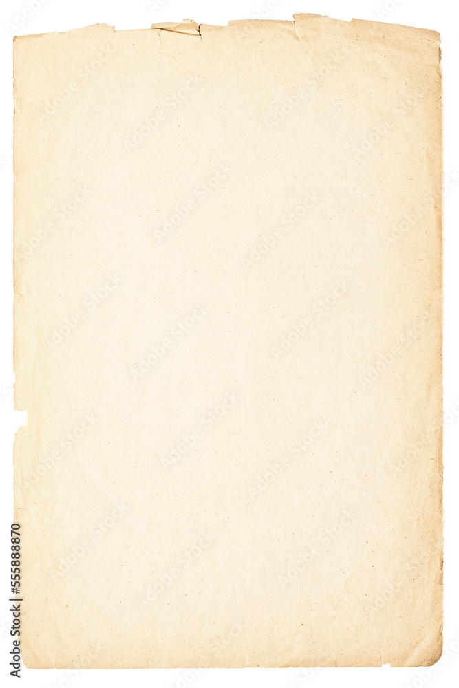 light paper sheet isolated on white background. beige texture of ancient papyrus with frayed edges