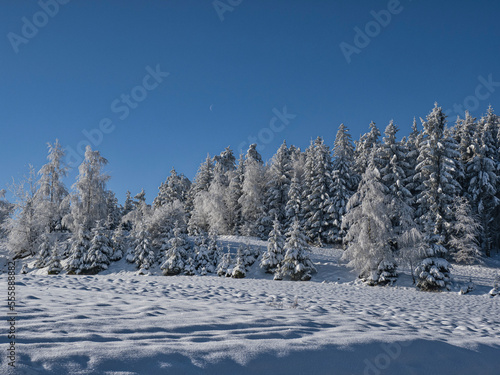 Winterlandschaft im Waldviertel Rappottenstein Niederösterreich österreich europa