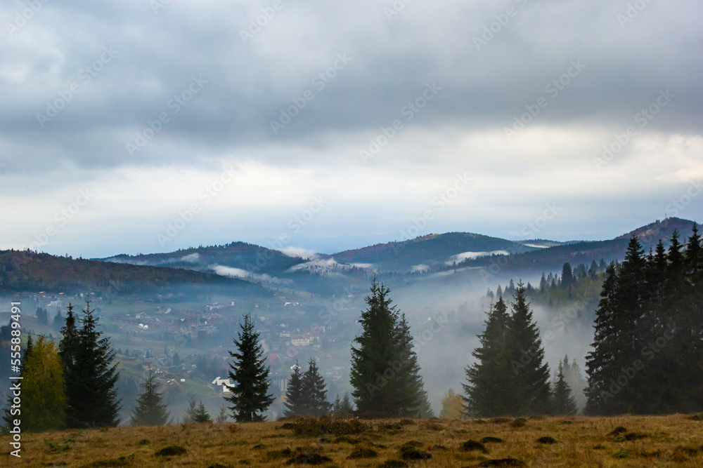 Autumn landscape with fog in the mountains. Fir forest on the hills. Carpathians, Ukraine, Europe. High quality photo