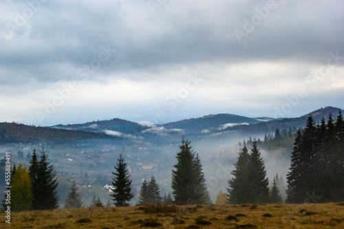 Autumn landscape with fog in the mountains. Fir forest on the hills. Carpathians, Ukraine, Europe. High quality photo © Oleh Marchak
