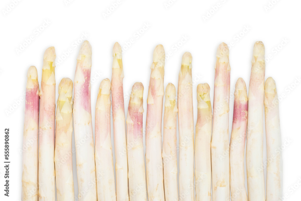 White asparagus isolated on white background. White asparagus isolated on white background.