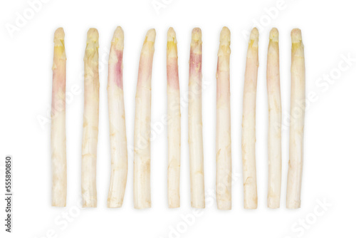 White asparagus isolated on white background.