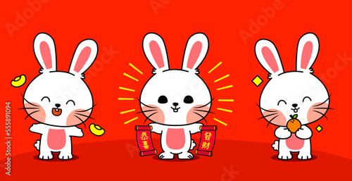 Set of Illustration Cute Rabbit Wishing Happy Chinese New Year