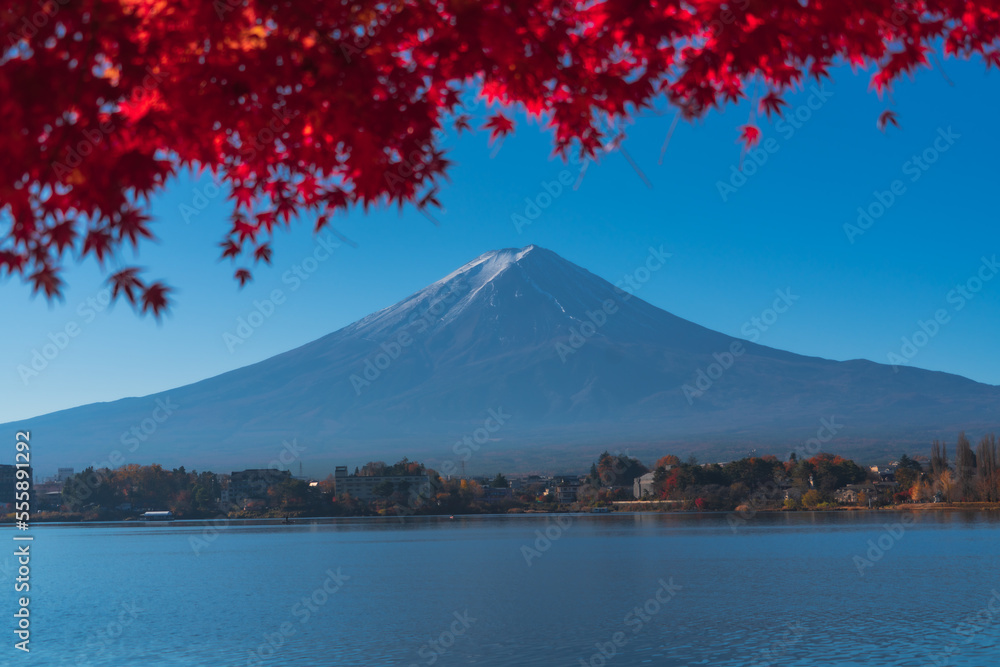 Fuji mountain view