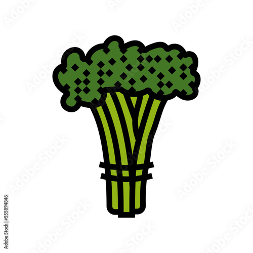 broccoli rabe color icon vector. broccoli rabe sign. isolated symbol illustration