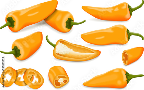Set with whole, half, quarter, slices, and wedges of Orange Fresno chili peppers. Capsicum annuum. Chili pepper. Vegetables. Vector illustration isolated on white background.