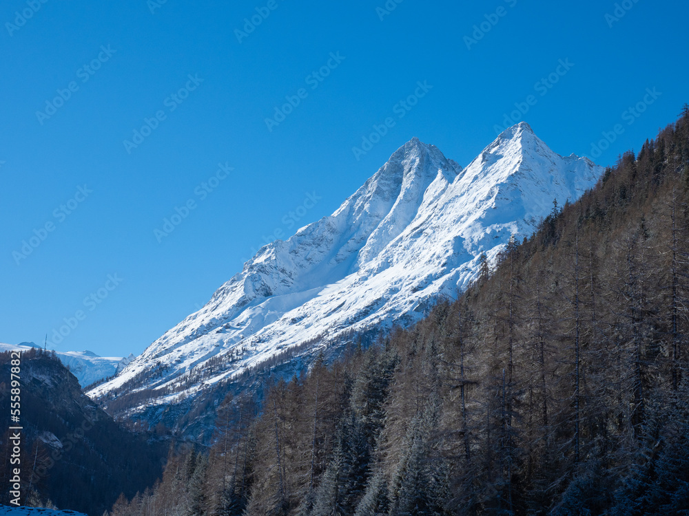 Val d'Herens, Switzerland - April 10th 2022: Sun lit fir tree forest in front of an alpine rough peak