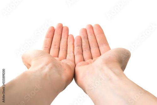 Two open hands give hold something in PNG isolated on transparent background