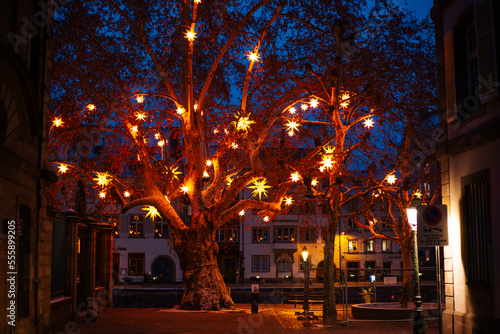 Tree covered in christmas star illuminations