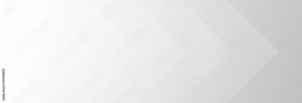 Fototapeta premium Abstract white and gray gradient background.geometric modern design with copy space, vector Illustration.