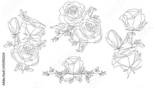 Handrawn Monoline Roses Floral Arrangement Lineart