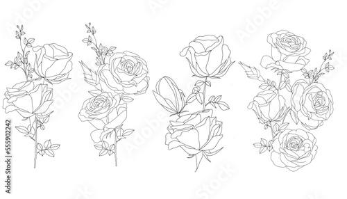 Handrawn Monoline Roses Floral Arrangement Lineart