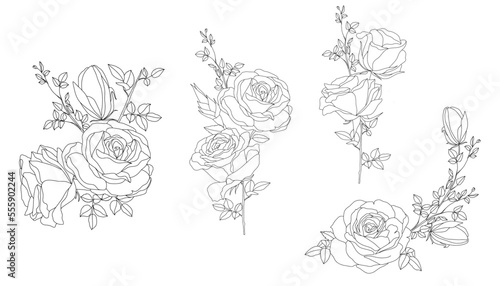 Handrawn Monoline Roses Floral Arrangement Lineart photo
