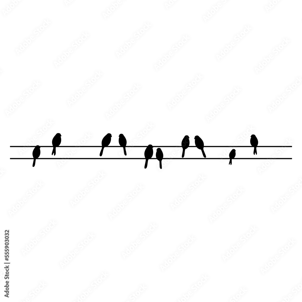 birds on wires birds on wires