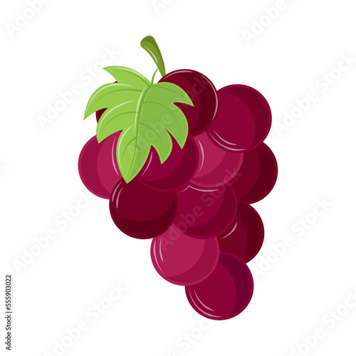 grapes fruit icon