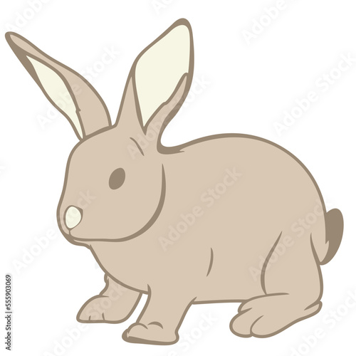 sweet and cuddly bunny