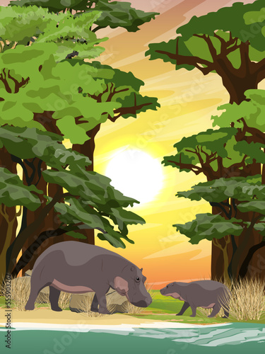 Hippopotamus and her cub stand on the shore of a salt lake in a baobab grove. wildlife of africa. Realistic vector vertical landscape