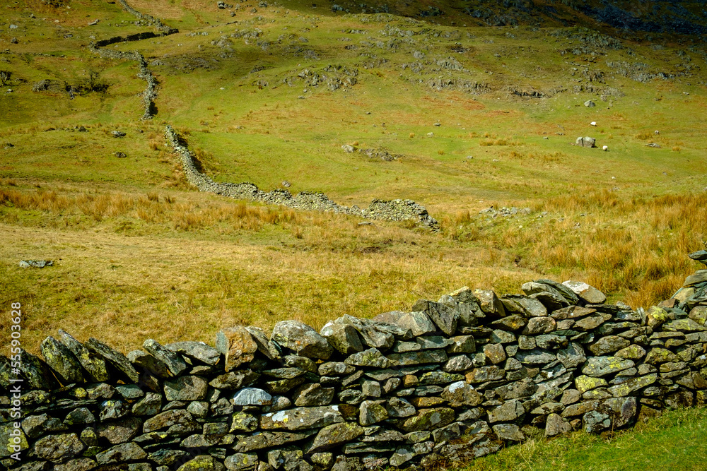 Extensive old dry stone walls pattern the hillsides viewed along the Whinlatter Pass near Braithwaite, Cumbria, UK