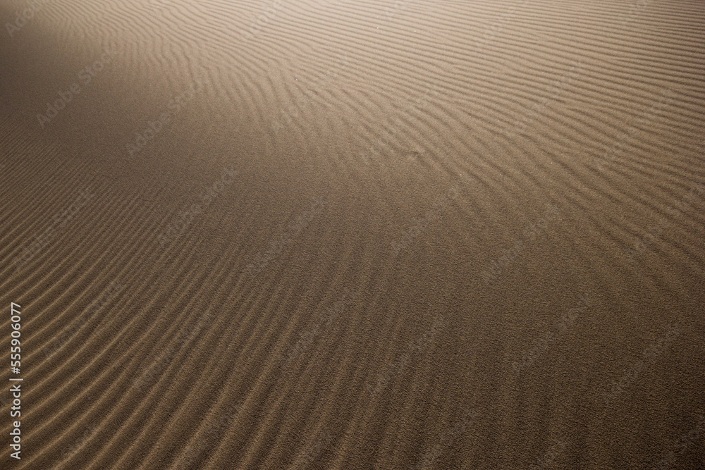 Obraz premium 春の鳥取砂丘とその紋様 鳥取県 鳥取砂丘