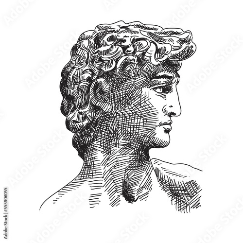 A quick freehand rough sketch, with the head of the statue of David turned to the side. Figure isolated on white background