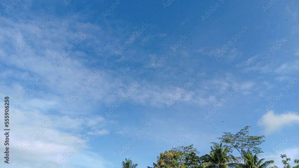 Beautiful bright blue sky and clouds in a day and tress under the sky. Beautiful bright blue sky and clouds in a day and tress under the sky.