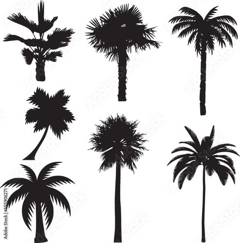 palm trees silhouettes . tropical palm trees  black silhouettes 
