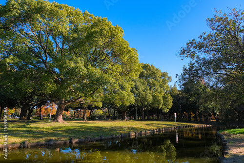 埼玉県三郷市 秋のみさと公園