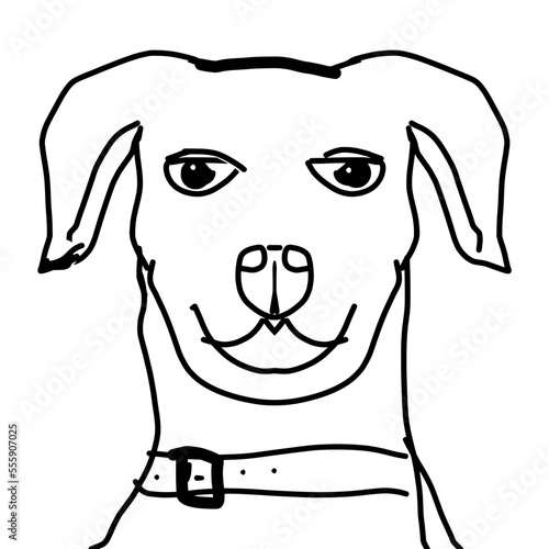 dog with bone