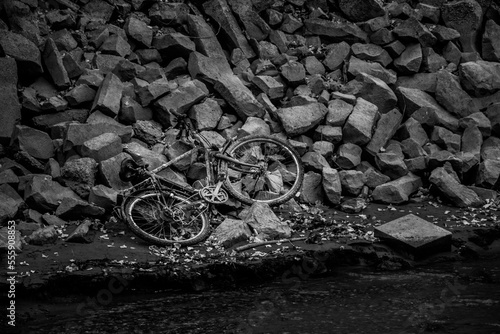 Fototapeta Schrott Fahrrad am Wrack des Aalschokkers Conny am Silbersee in Dormagen