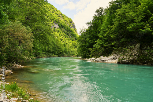 Wild mountain river water stream turquoise colored, and green foliage