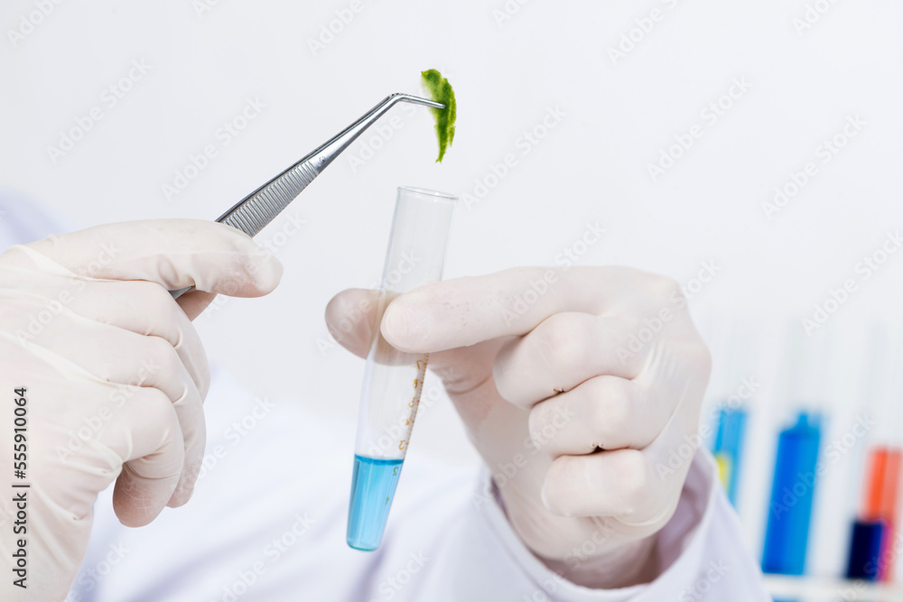 Scientist puts sample into test tube Scientist puts sample into test tube