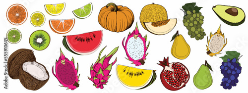Fototapeta Naklejka Na Ścianę i Meble -  Set of graphic colored fruits in vector